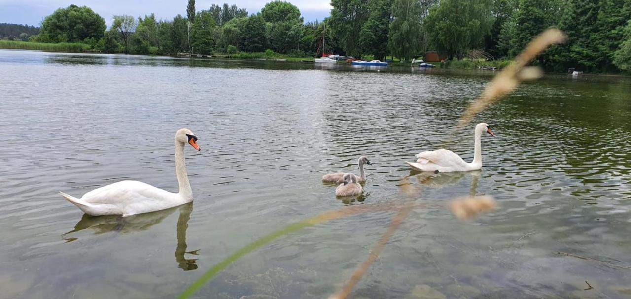 Apartament WILKASY  Zewnętrze zdjęcie